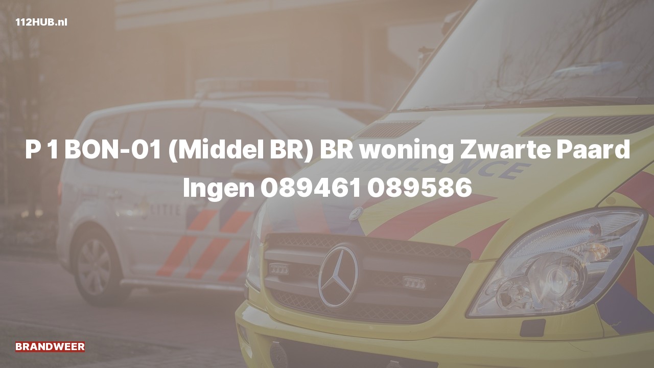 Deelafbeelding voor Brandweer met spoed voor brand in woning naar de Zwarte Paard in Ingen.