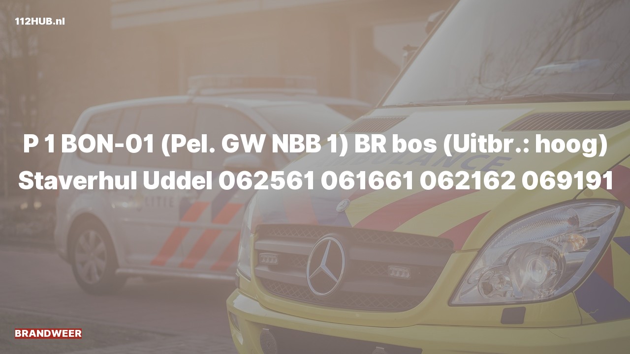 Deelafbeelding voor Brandweer met spoed naar de Staverhul in Uddel.