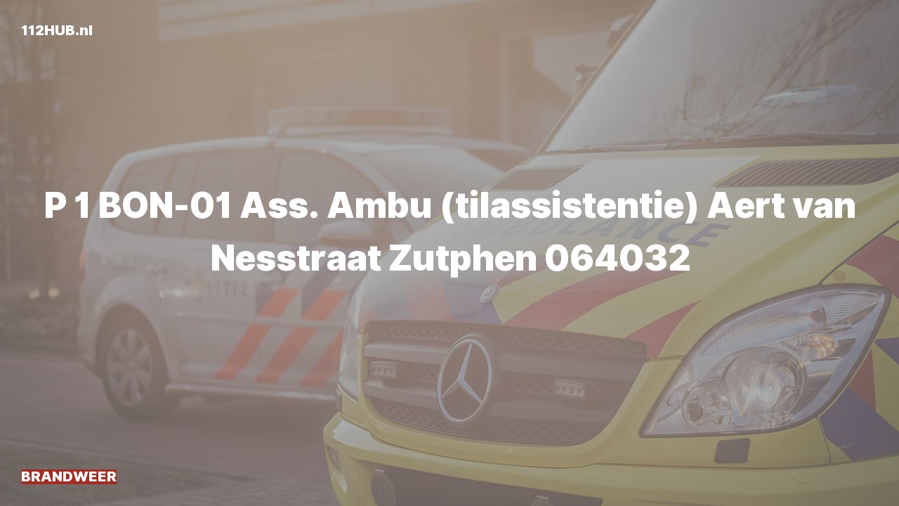 Deelafbeelding voor Brandweer met spoed voor ambulance-assistentie naar de Aert van Nesstraat in Zutphen.