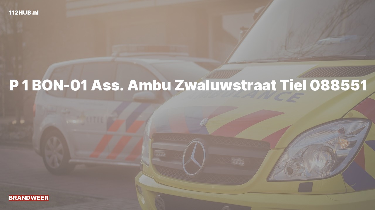 Deelafbeelding voor Brandweer met spoed voor ambulance-assistentie naar de Zwaluwstraat in Tiel.