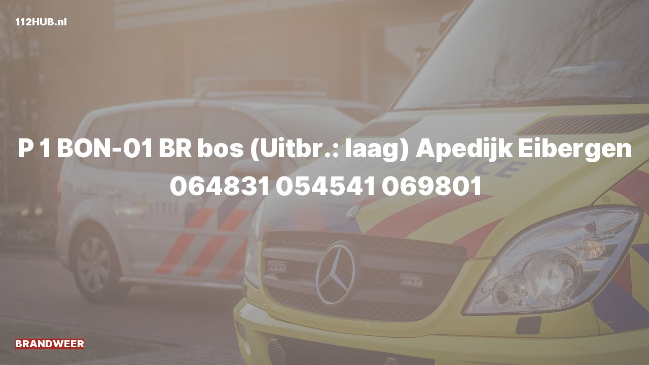 Deelafbeelding voor De brandweer is met spoed uitgerukt voor een brand naar de Apedijk in Eibergen