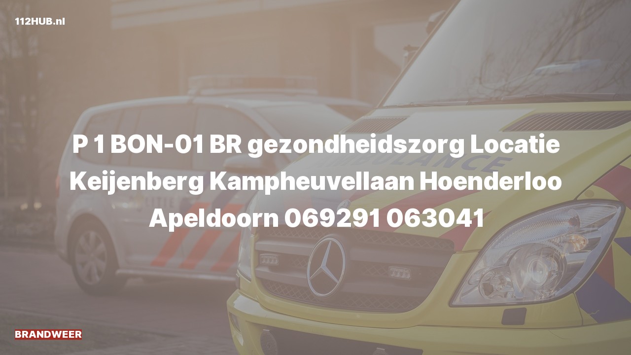 Deelafbeelding voor Brandweer met spoed naar de Kampheuvellaan in Hoenderloo.