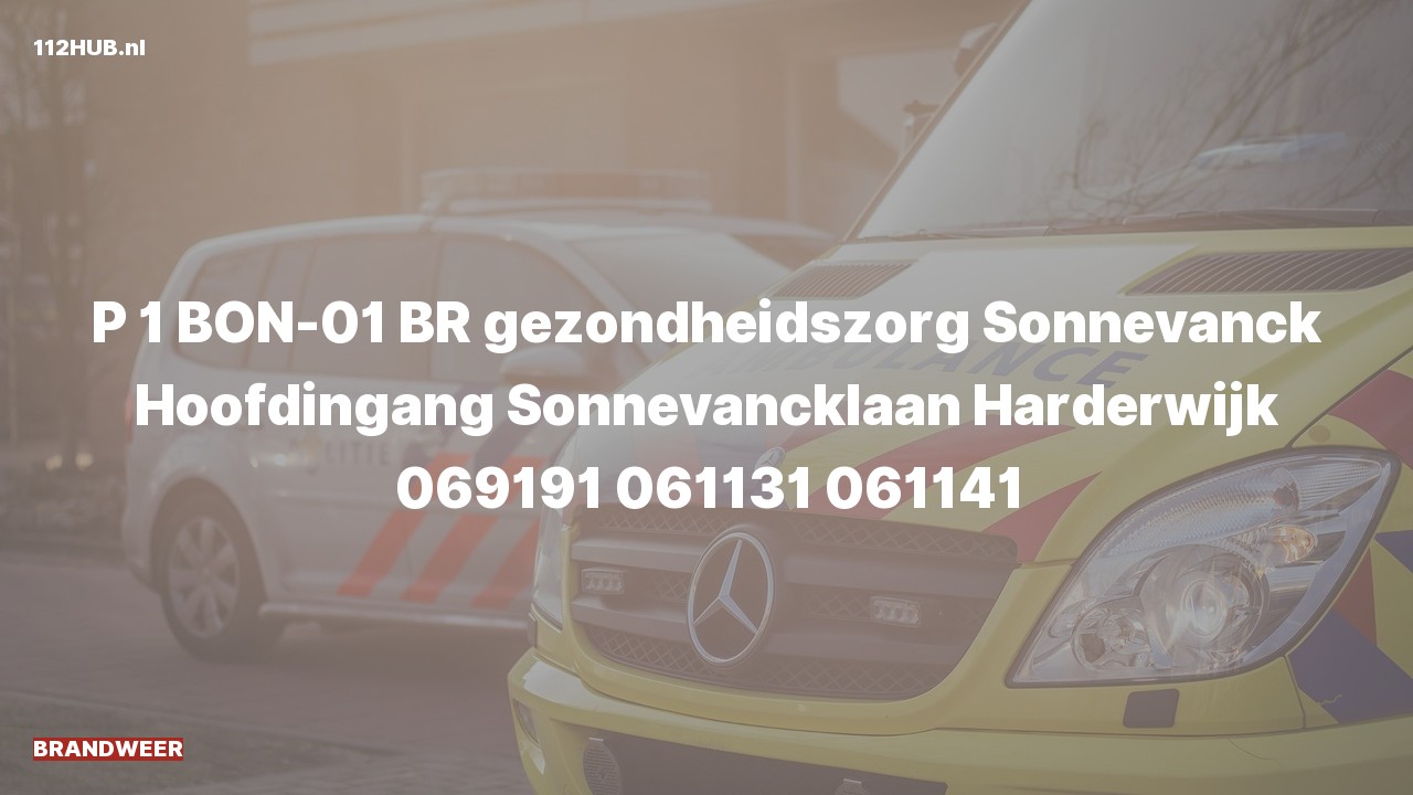 Deelafbeelding voor De brandweer is met spoed uitgerukt voor een brand naar de Sonnevancklaan in Harderwijk