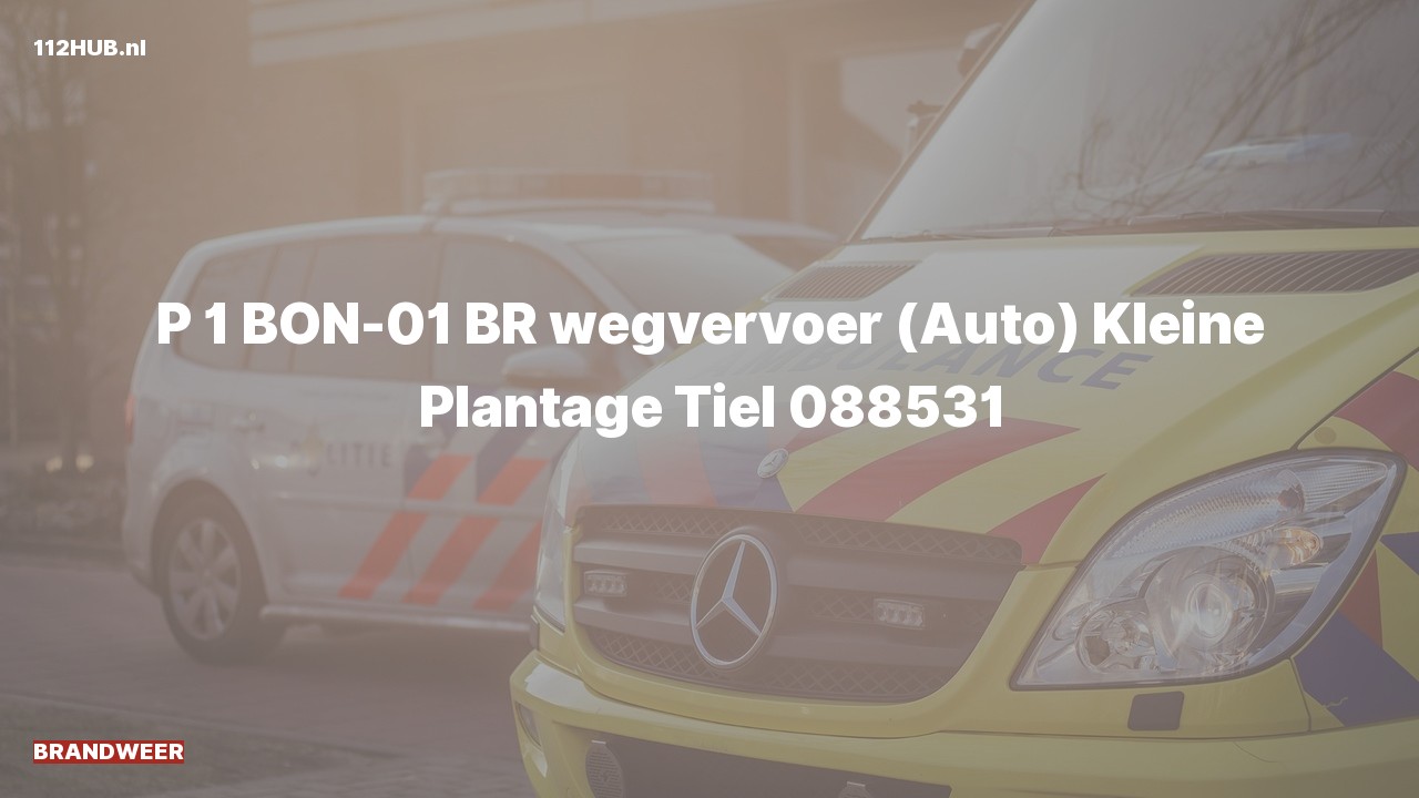 Deelafbeelding voor Brandweer met spoed naar de Kleine Plantage in Tiel.