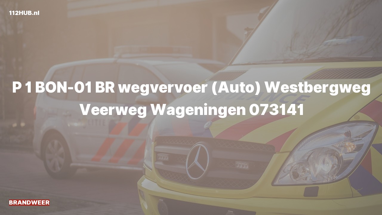 Deelafbeelding voor De brandweer is met spoed uitgerukt voor een brand naar de Veerweg in Wageningen