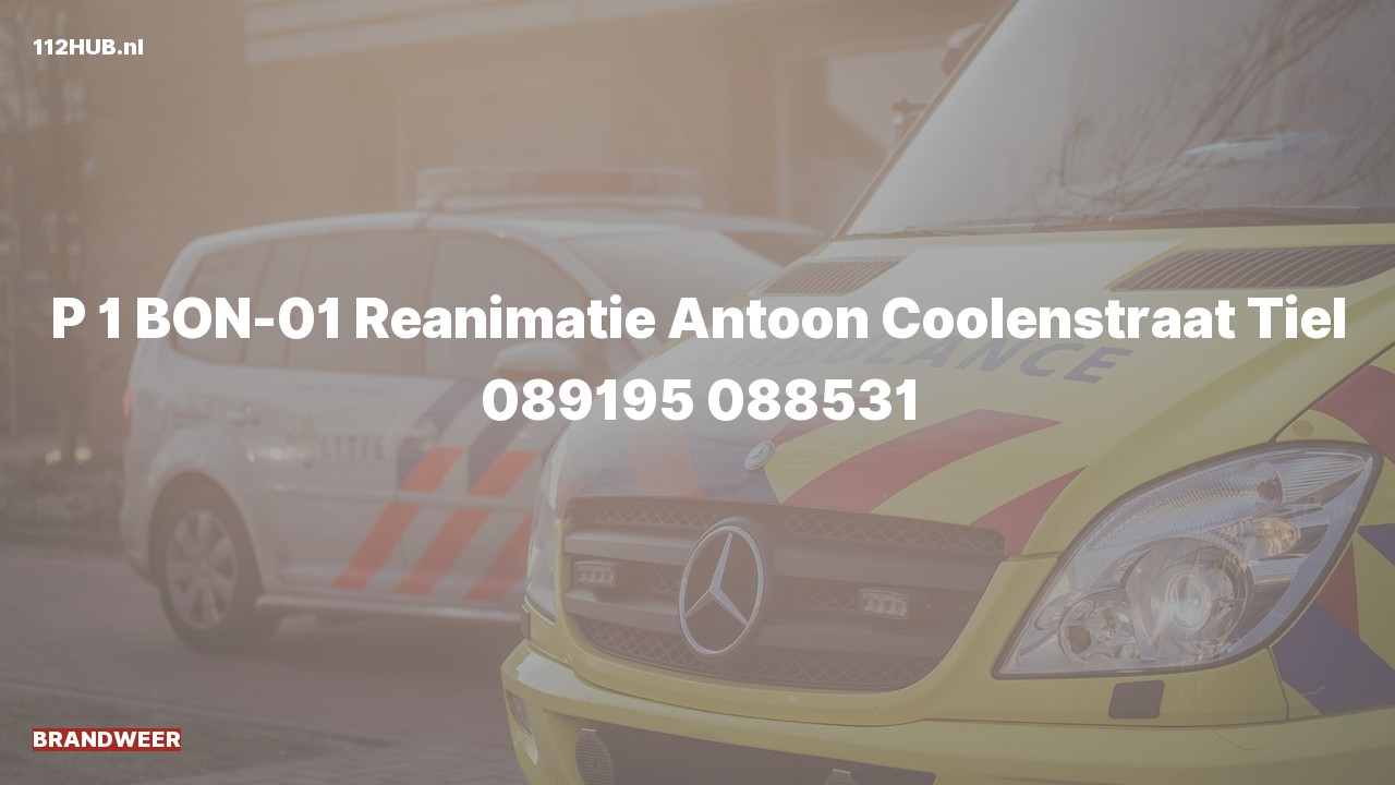 Deelafbeelding voor Brandweer met spoed naar de Antoon Coolenstraat in Tiel.