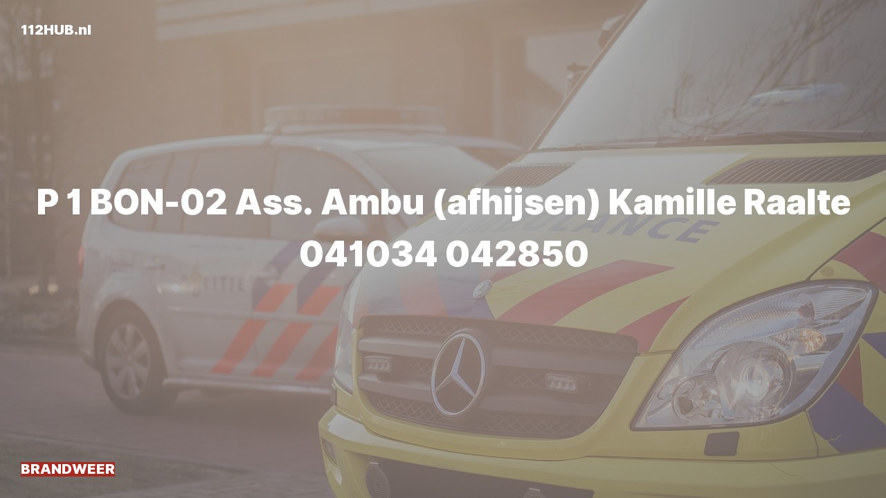 Deelafbeelding voor Brandweer met spoed voor afhijsen naar de Kamille in Raalte.