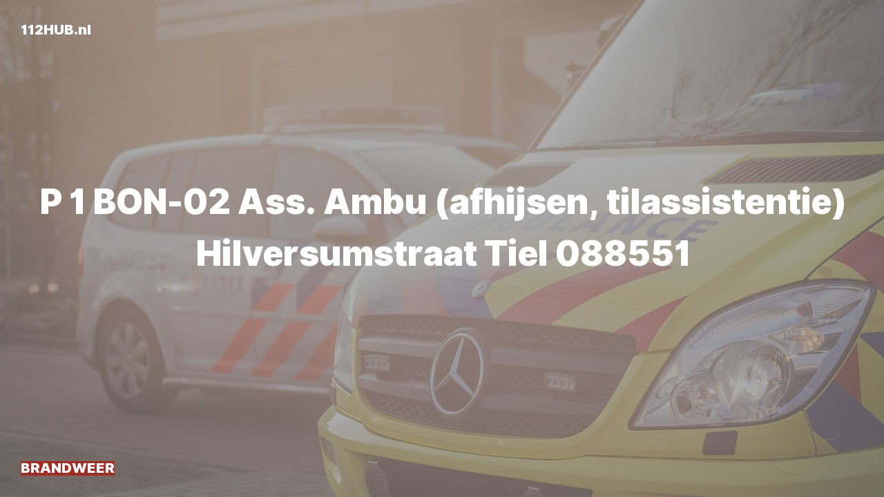 Deelafbeelding voor Brandweer met spoed voor afhijsen naar de Hilversumstraat in Tiel.