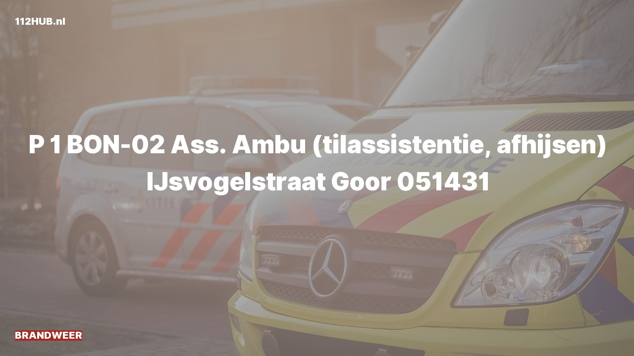 Deelafbeelding voor De brandweer is met spoed uitgerukt voor afhijsen naar de IJsvogelstraat in Goor