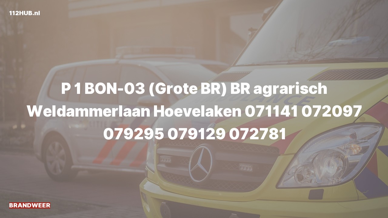Deelafbeelding voor Brandweer met spoed naar de Weldammerlaan in Hoevelaken.