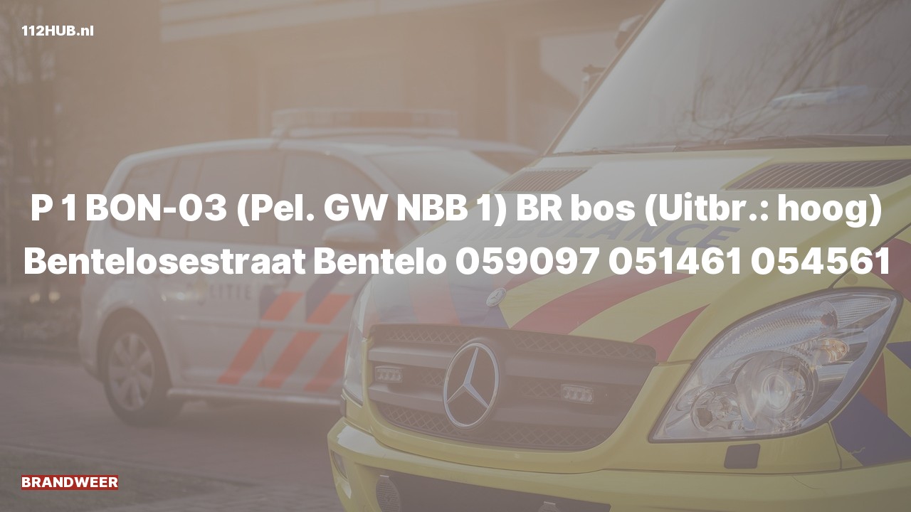 Deelafbeelding voor De brandweer is met spoed uitgerukt voor een brand naar de Bentelosestraat in Bentelo