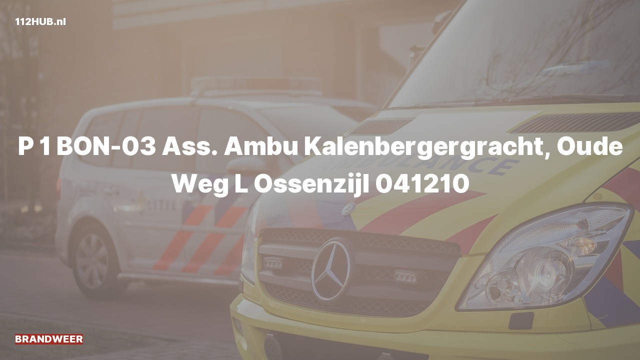 Deelafbeelding voor P2000-melding voor ambulance-assistentie.