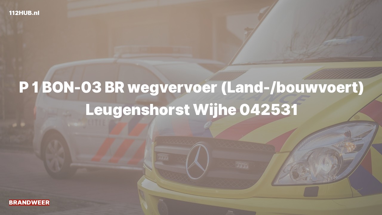 Deelafbeelding voor Brandweer met spoed naar de Leugenshorst in Wijhe.