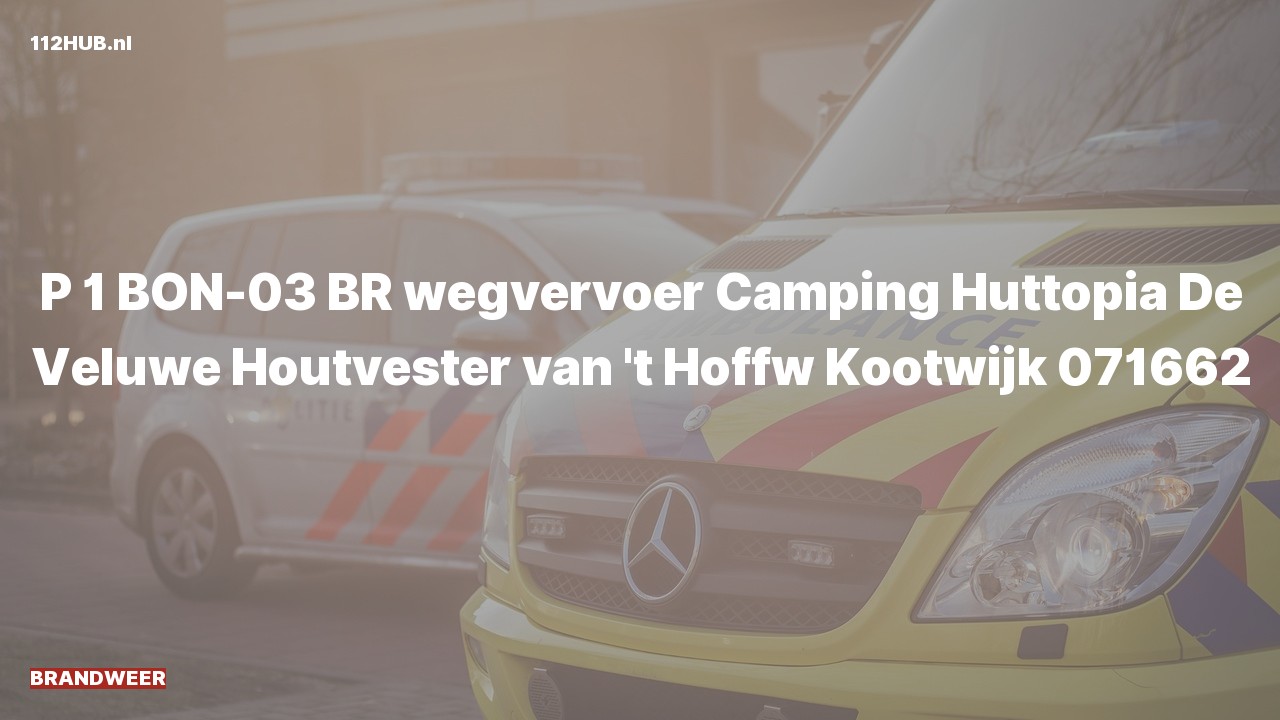 Deelafbeelding voor Brandweer met spoed.