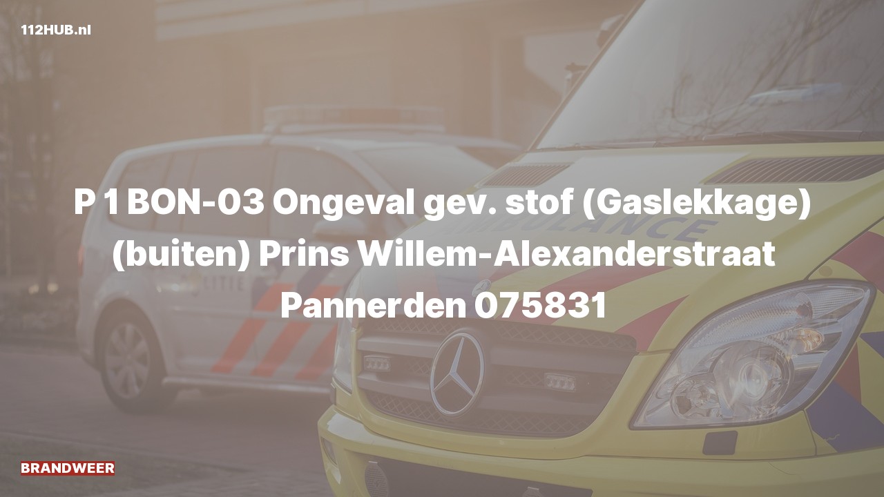 Deelafbeelding voor Brandweer met spoed naar de Prins Willem-Alexanderstraat in Pannerden.