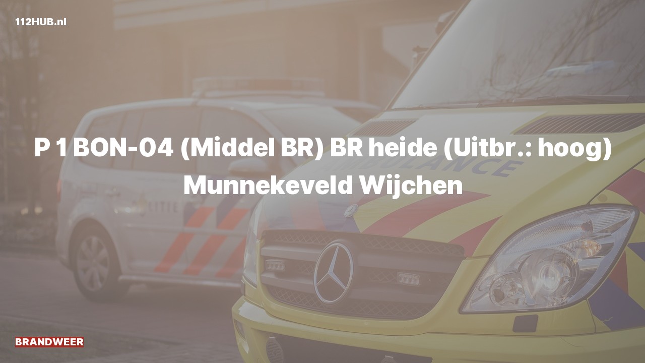 Deelafbeelding voor Brandweer met spoed naar de Munnekeveld in Wijchen.