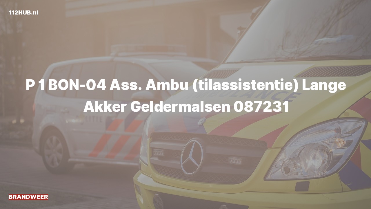Deelafbeelding voor Brandweer met spoed voor ambulance-assistentie naar de Lange Akker in Geldermalsen.