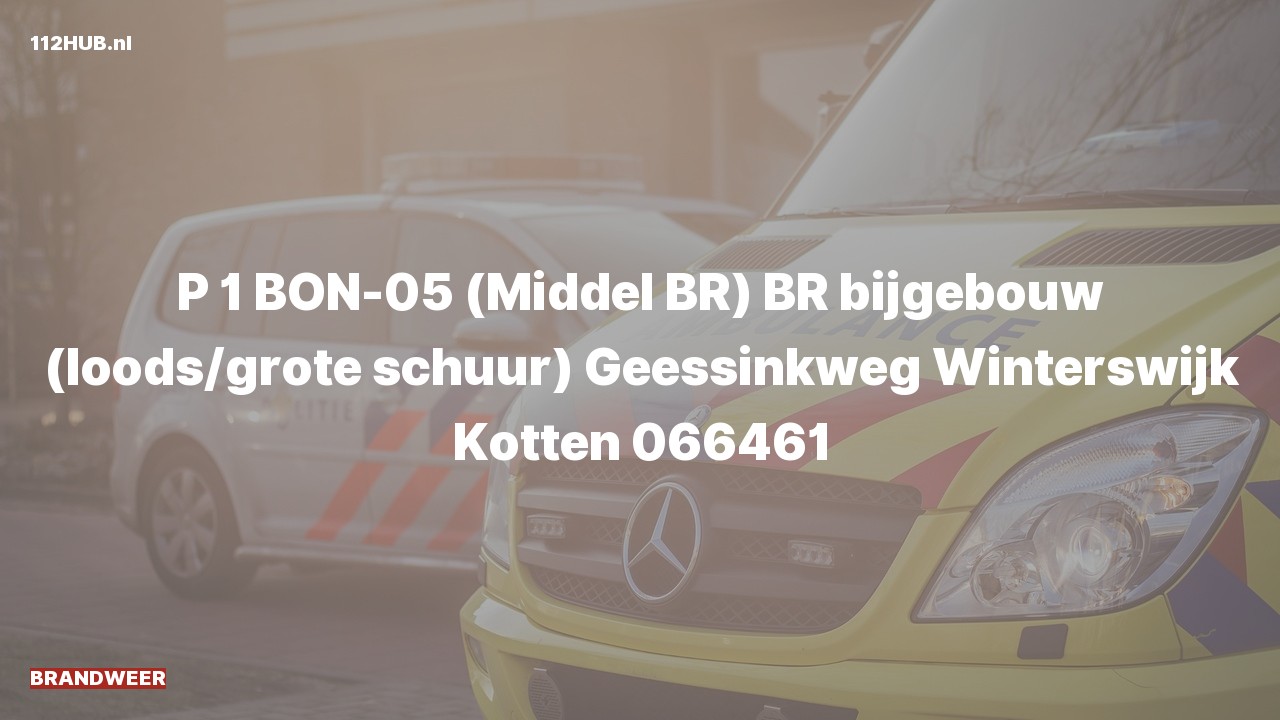 Deelafbeelding voor Brandweer met spoed naar de Geessinkweg in Winterswijk Kotten.
