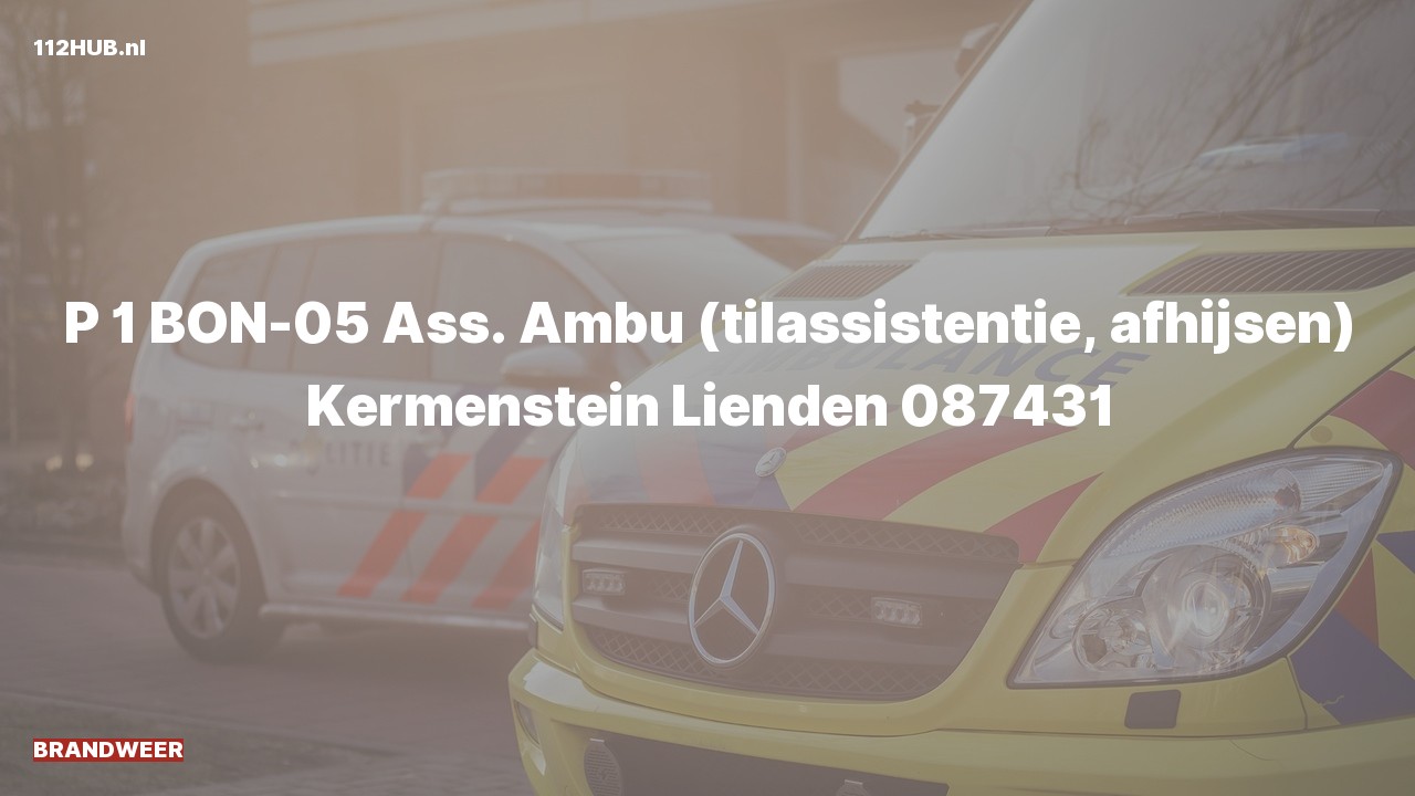 Deelafbeelding voor Brandweer met spoed voor afhijsen naar de Kermenstein in Lienden.