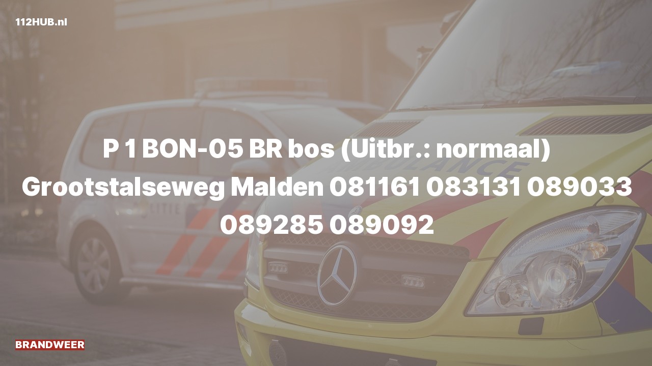 Deelafbeelding voor De brandweer is met spoed uitgerukt voor een brand naar de Grootstalseweg in Malden