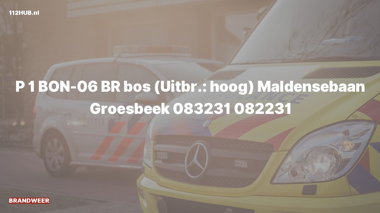 Deelafbeelding voor Brandweer met spoed naar de Maldensebaan in Groesbeek.