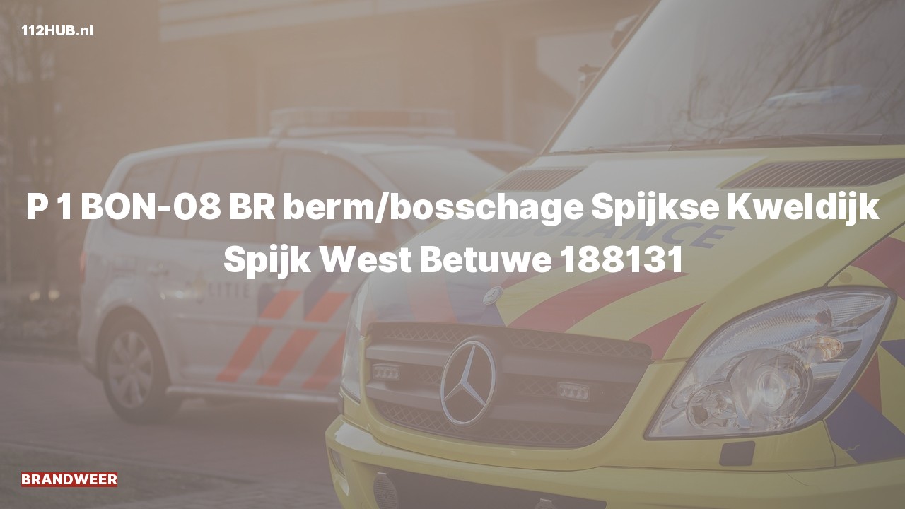 Deelafbeelding voor Brandweer met spoed naar de Spijkse Kweldijk in Spijk.