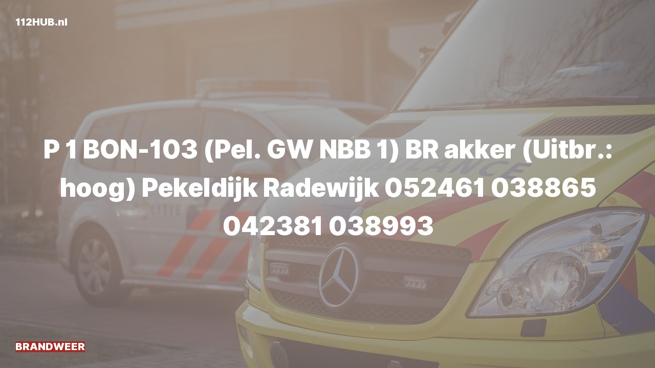 Deelafbeelding voor Brandweer met spoed.