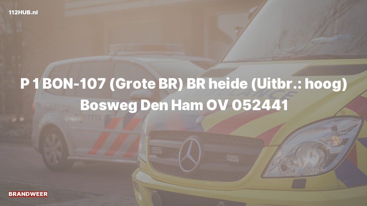 Deelafbeelding voor Brandweer met spoed naar de Bosweg in Den Ham.