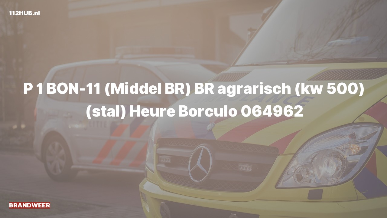 Deelafbeelding voor Brandweer met spoed naar de Heure in Borculo.