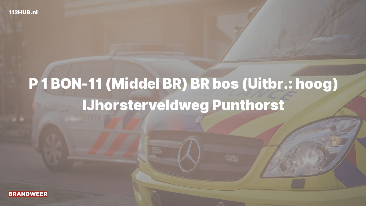 Deelafbeelding voor Brandweer met spoed naar de IJhorsterveldweg in Punthorst.