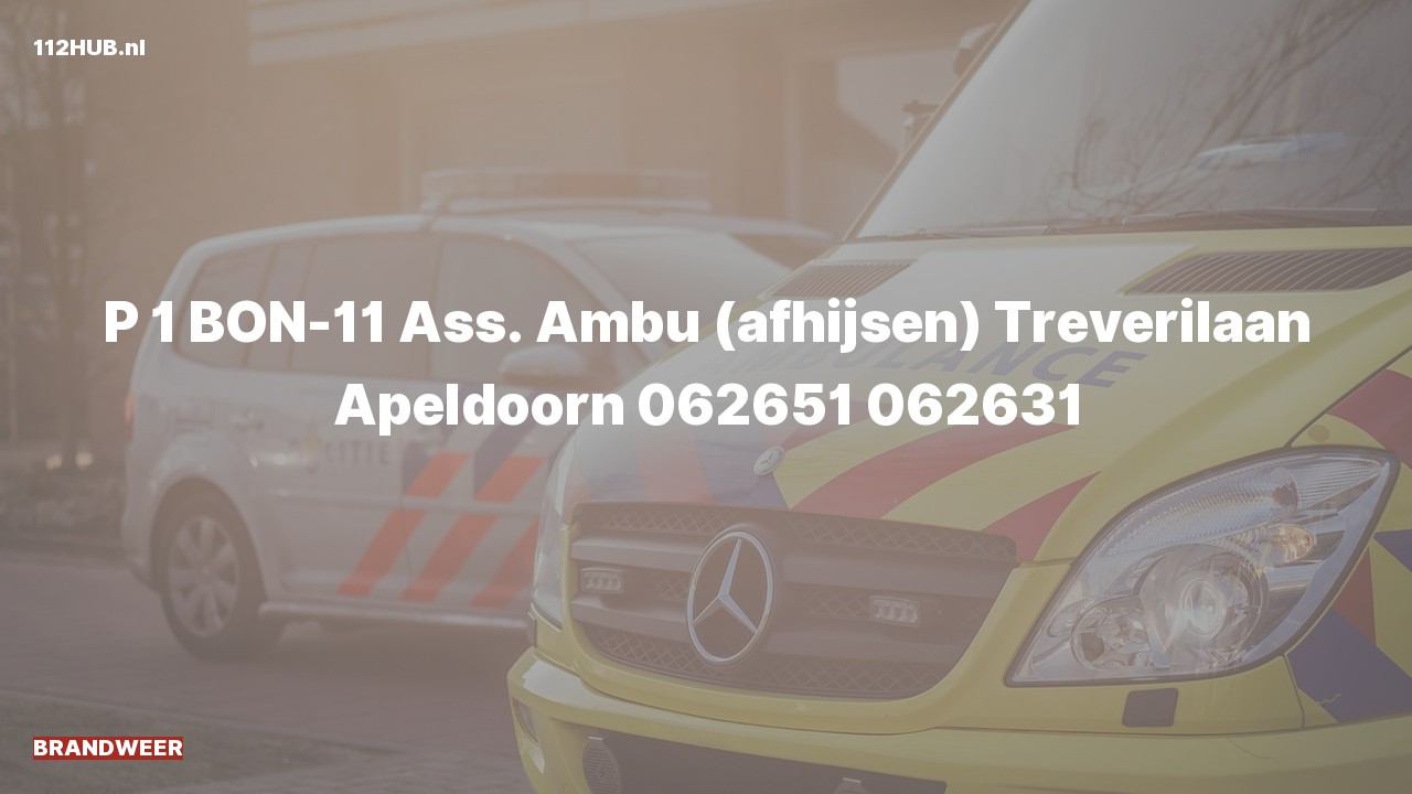 Deelafbeelding voor Brandweer met spoed voor afhijsen naar de Treverilaan in Apeldoorn.