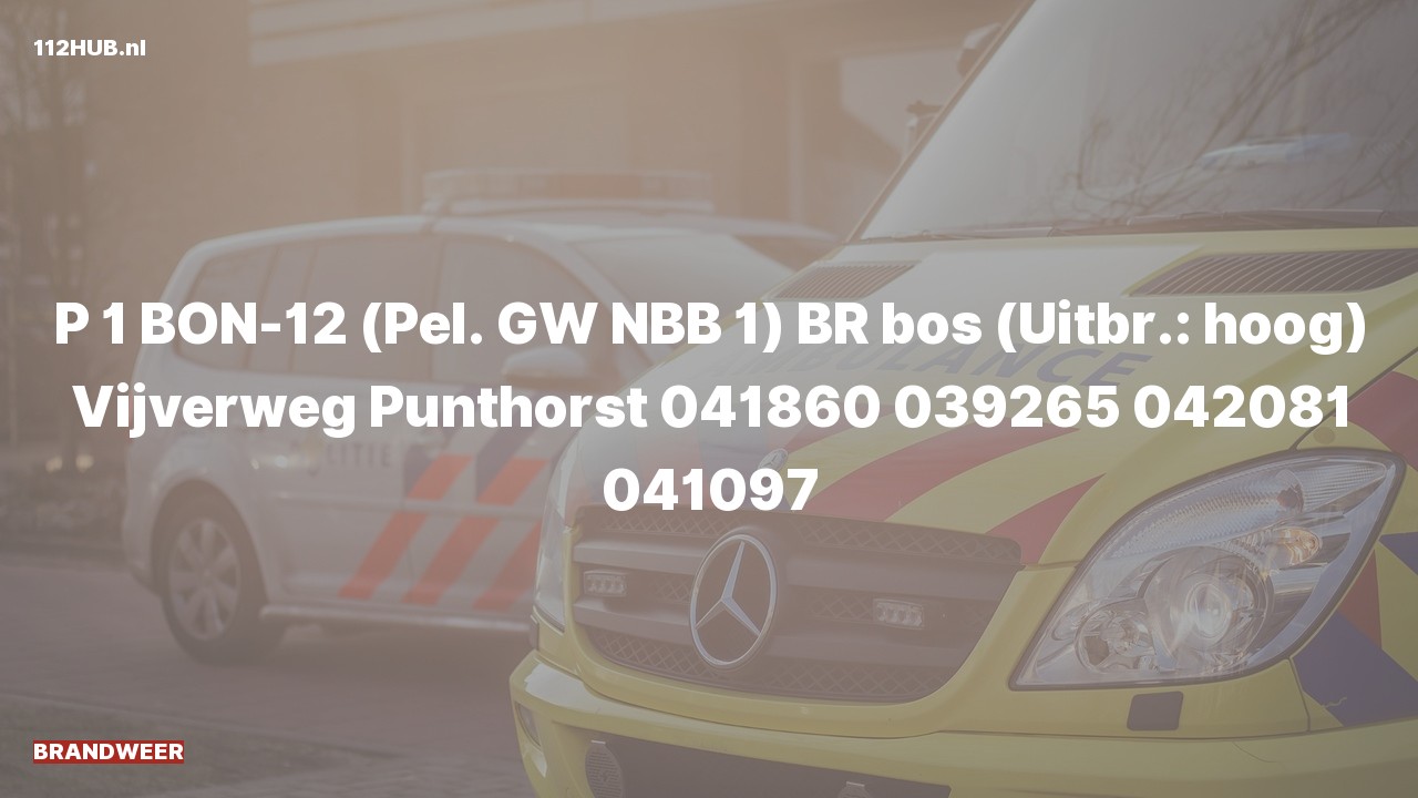 Deelafbeelding voor Brandweer met spoed naar de Vijverweg in Punthorst.