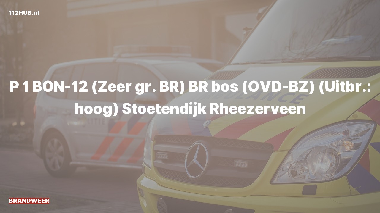Deelafbeelding voor Brandweer met spoed naar de Stoetendijk in Rheezerveen.