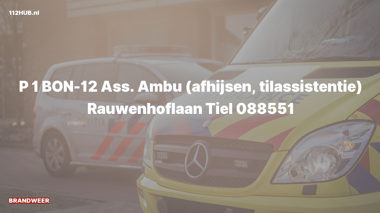 Deelafbeelding voor De brandweer is met spoed uitgerukt voor afhijsen naar de Rauwenhoflaan in Tiel
