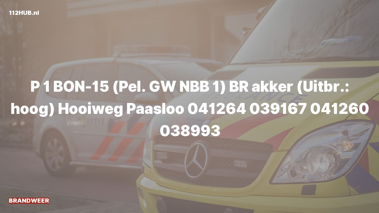 Deelafbeelding voor Brandweer met spoed naar de Hooiweg in Paasloo.