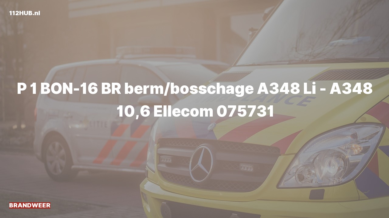 Deelafbeelding voor Brandweer met spoed op de A348 bij hectometerpaaltje 10.6.