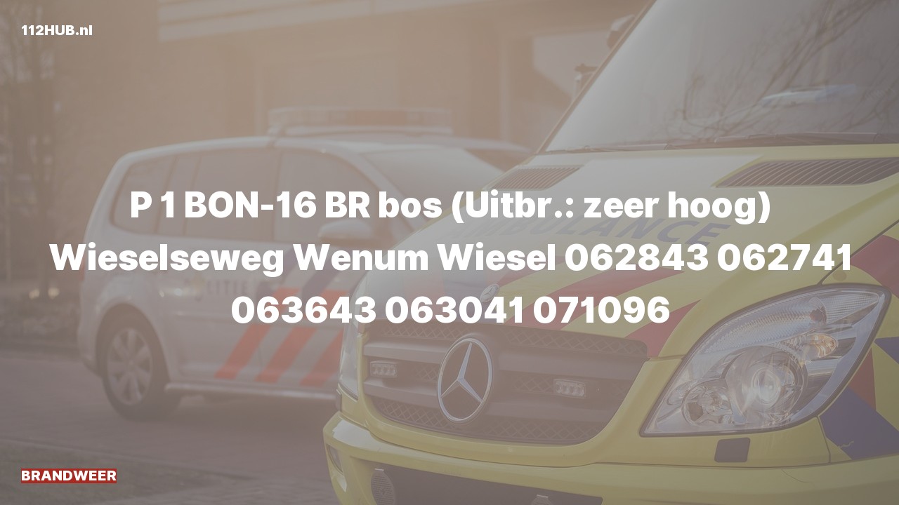 Deelafbeelding voor De brandweer is met spoed uitgerukt voor een brand naar de Wieselseweg in Wenum Wiesel