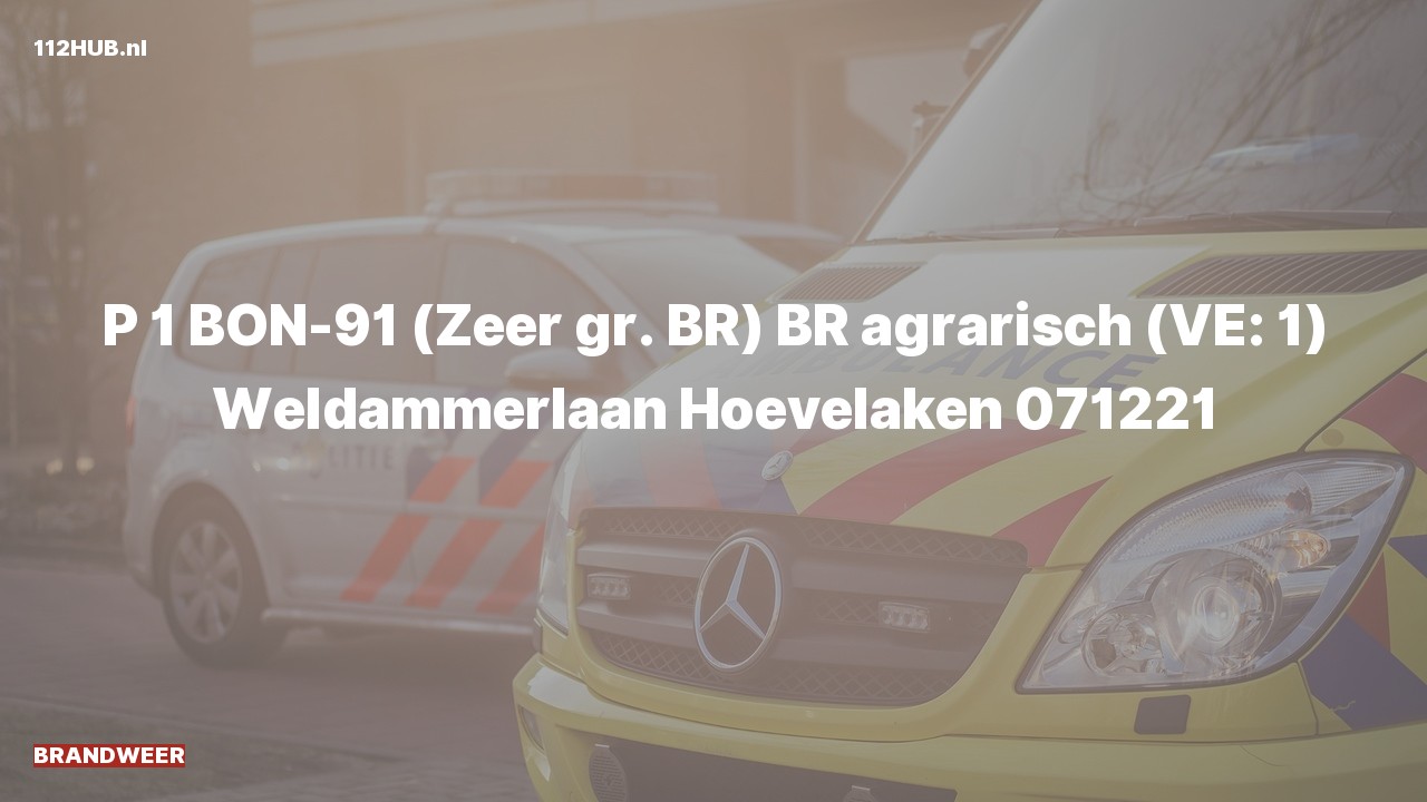 Deelafbeelding voor Brandweer met spoed naar de Weldammerlaan in Hoevelaken.
