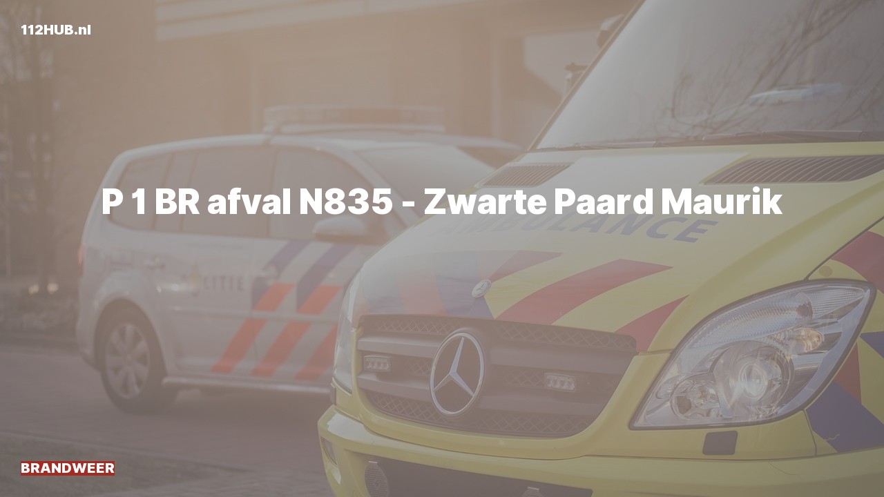 Deelafbeelding voor Brandweer met spoed.