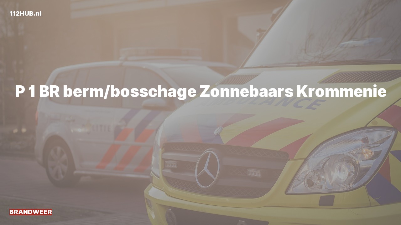 Deelafbeelding voor Brandweer met spoed naar de Zonnebaars in Krommenie.