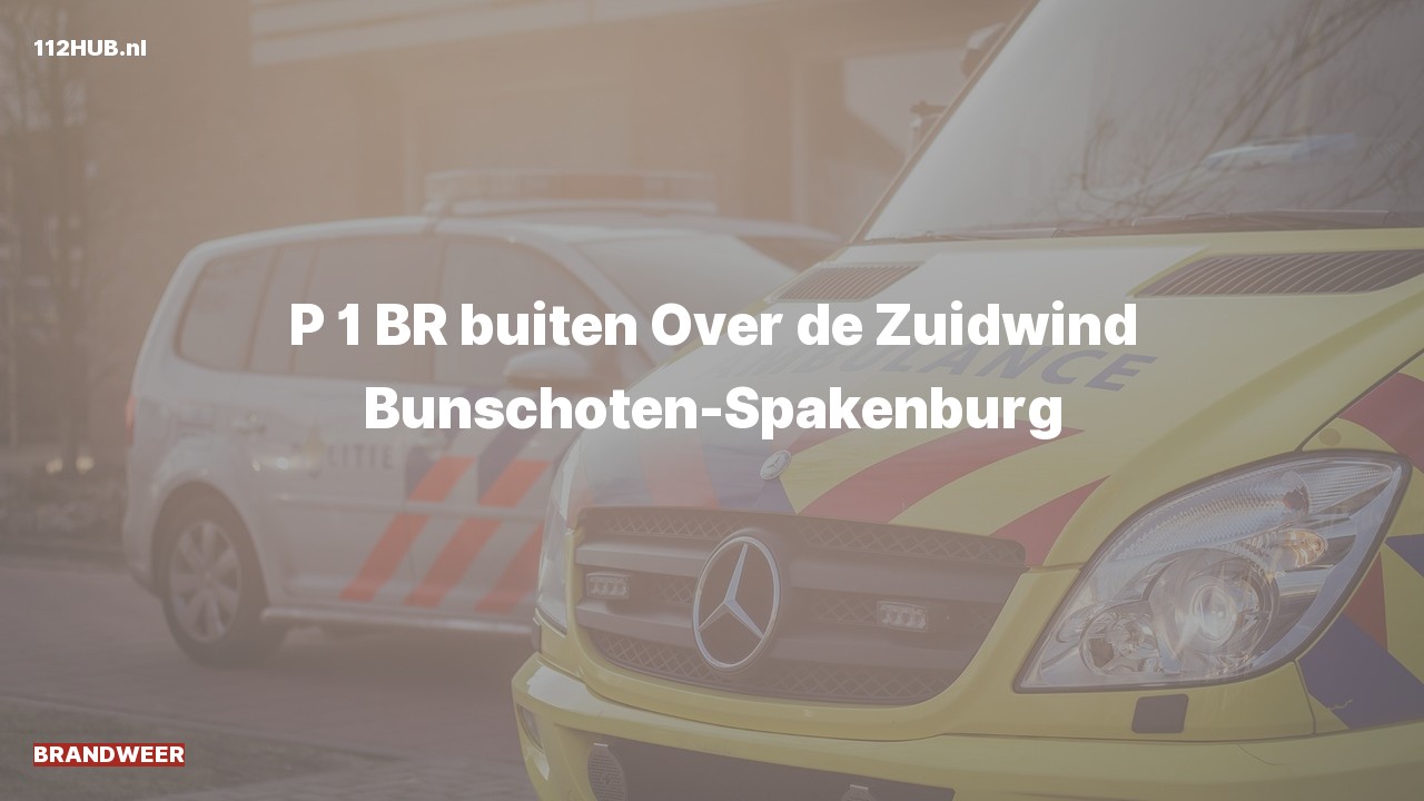 Deelafbeelding voor Brandweer met spoed.