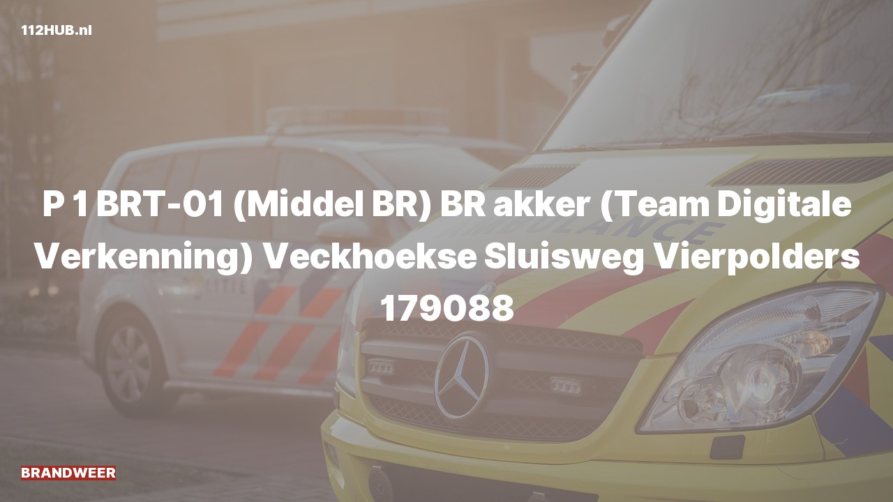Deelafbeelding voor Brandweer met spoed naar de Veckhoekse Sluisweg in Vierpolders.