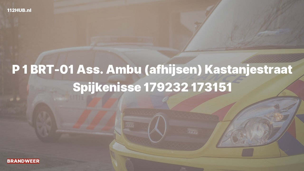 Deelafbeelding voor Brandweer met spoed voor afhijsen naar de Kastanjestraat in Spijkenisse.