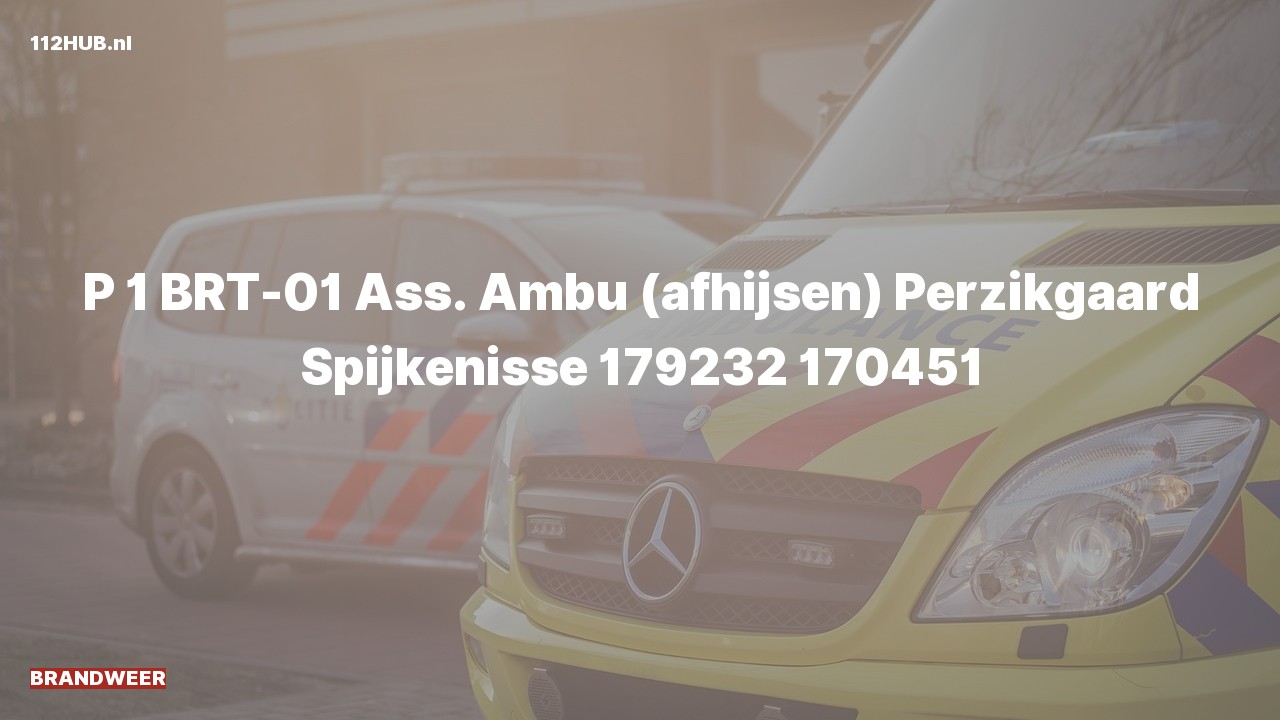 Deelafbeelding voor De brandweer is met spoed uitgerukt voor afhijsen naar de Perzikgaard in Spijkenisse