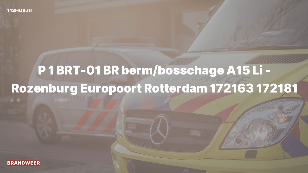 Deelafbeelding voor Brandweer met spoed.