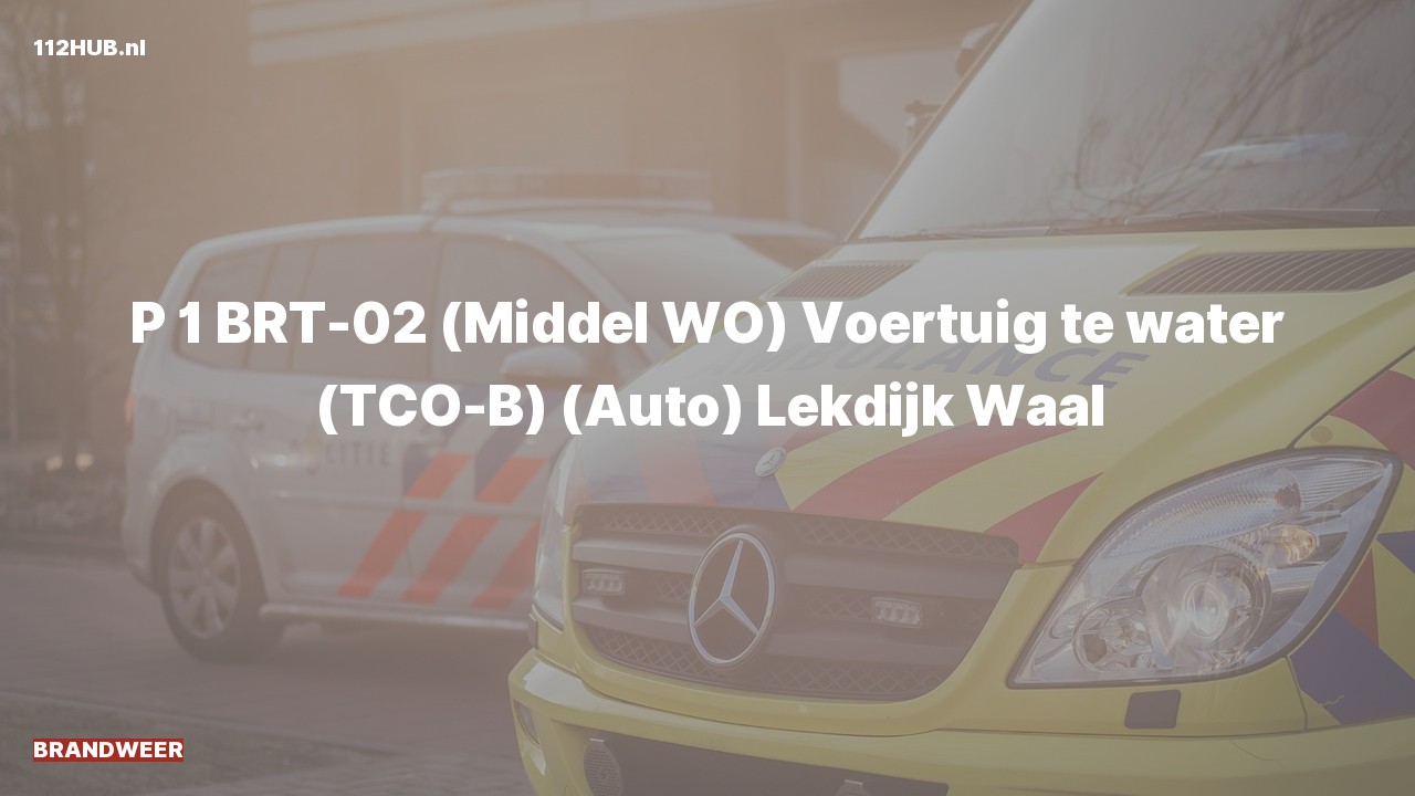 Deelafbeelding voor Brandweer met spoed naar de Lekdijk in Waal.