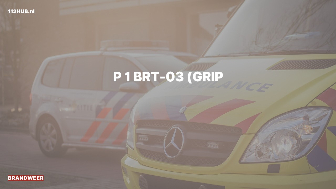 Deelafbeelding voor Brandweer met spoed.