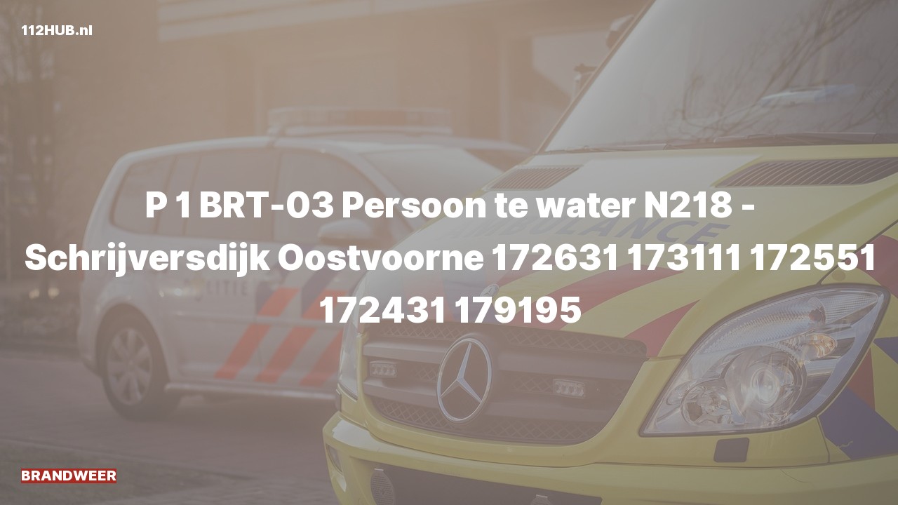 Deelafbeelding voor De brandweer is met spoed uitgerukt voor een persoon te water naar de Schrijversdijk in Oostvoorne