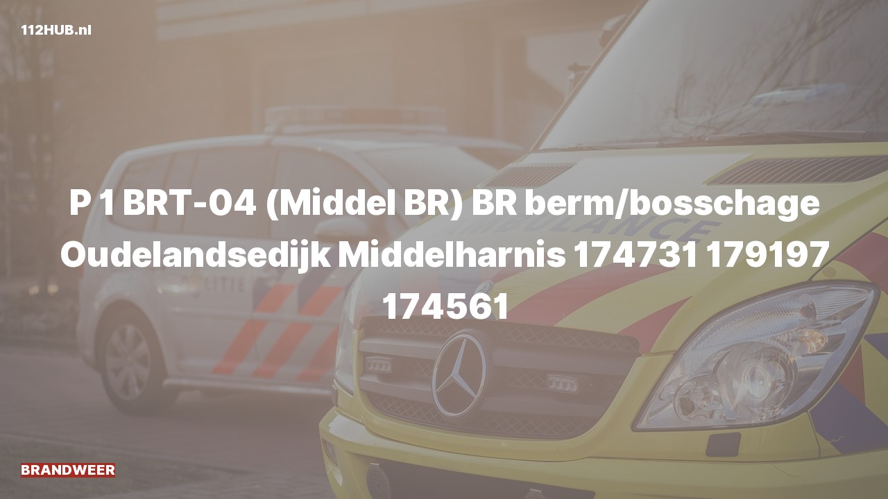 Deelafbeelding voor Brandweer met spoed naar de Oudelandsedijk in Middelharnis.