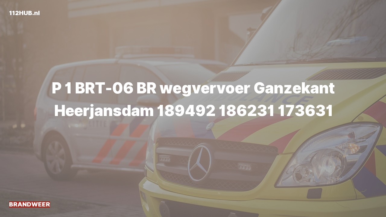 Deelafbeelding voor Brandweer met spoed naar de Ganzekant in Heerjansdam.